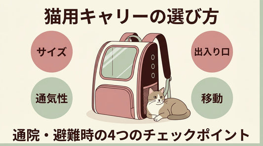 猫用キャリーリュックの選び方｜通院・避難で失敗しない4チェック