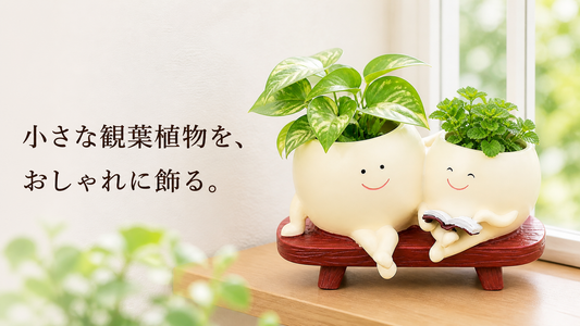 小さな観葉植物をおしゃれに飾る7つのコツ｜窓辺や玄関の整え方