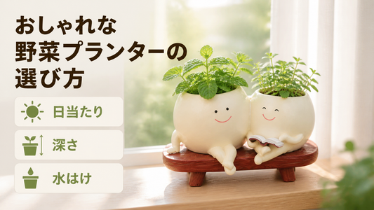 おしゃれな野菜プランターの選び方｜小さく始める6つのコツ