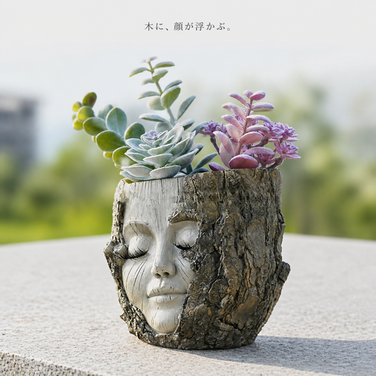 木に、顔が浮かぶ。多肉植物を植えた切り株の女神プランター