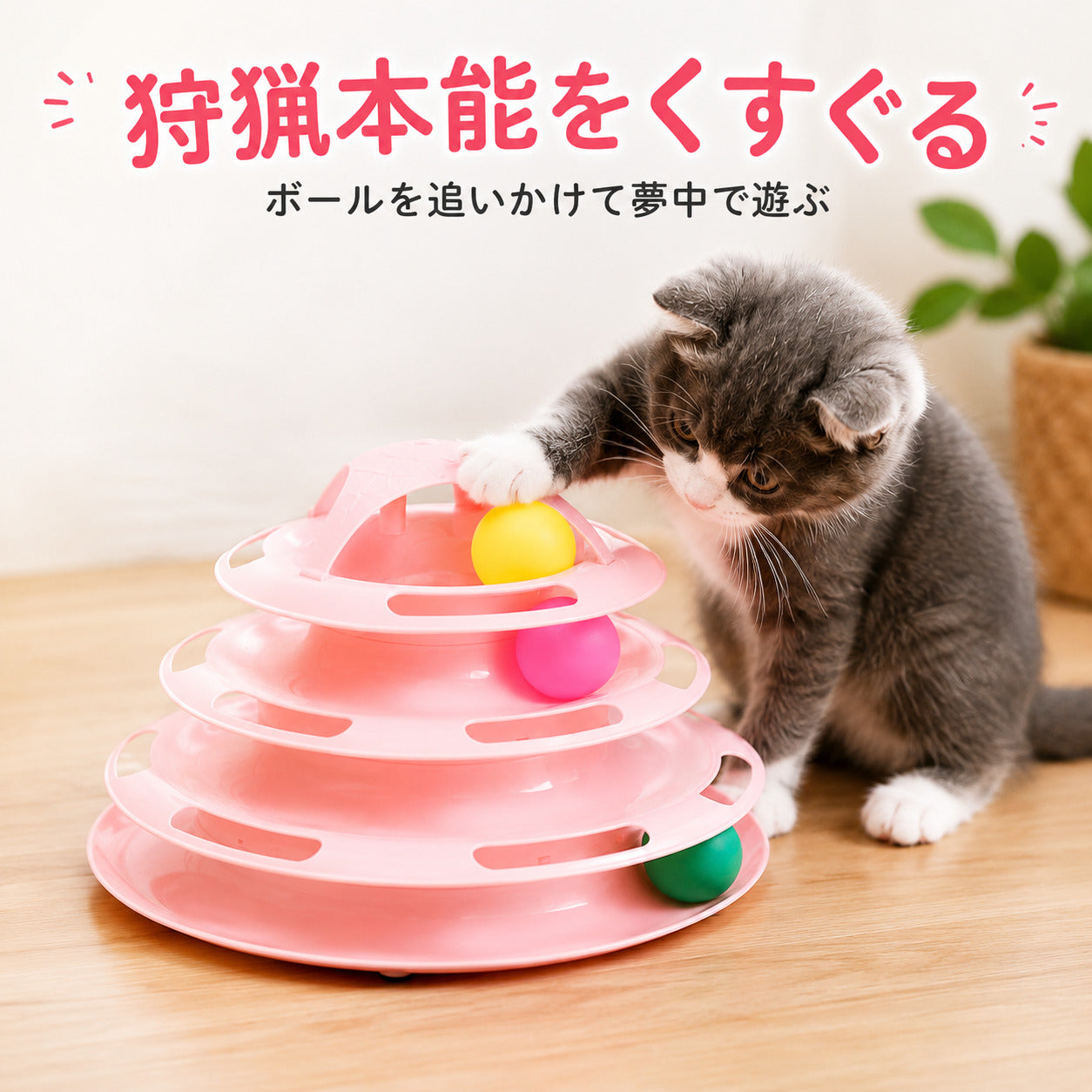 猫がボールを追いかけて遊ぶシーン