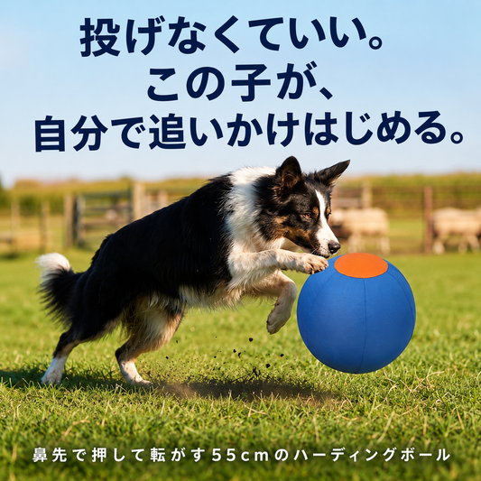 投げなくていい。犬が自分で追いかける55cmハーディングボール