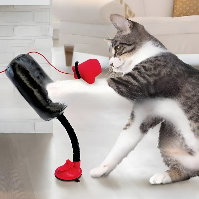 GranLusso 猫パンチ