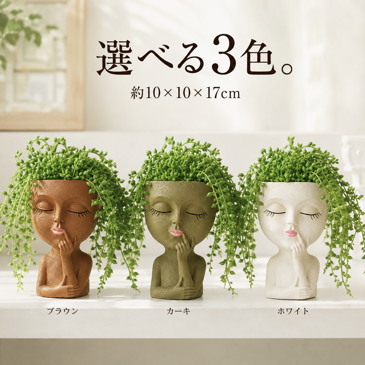 選べる3色 フェイスプランター