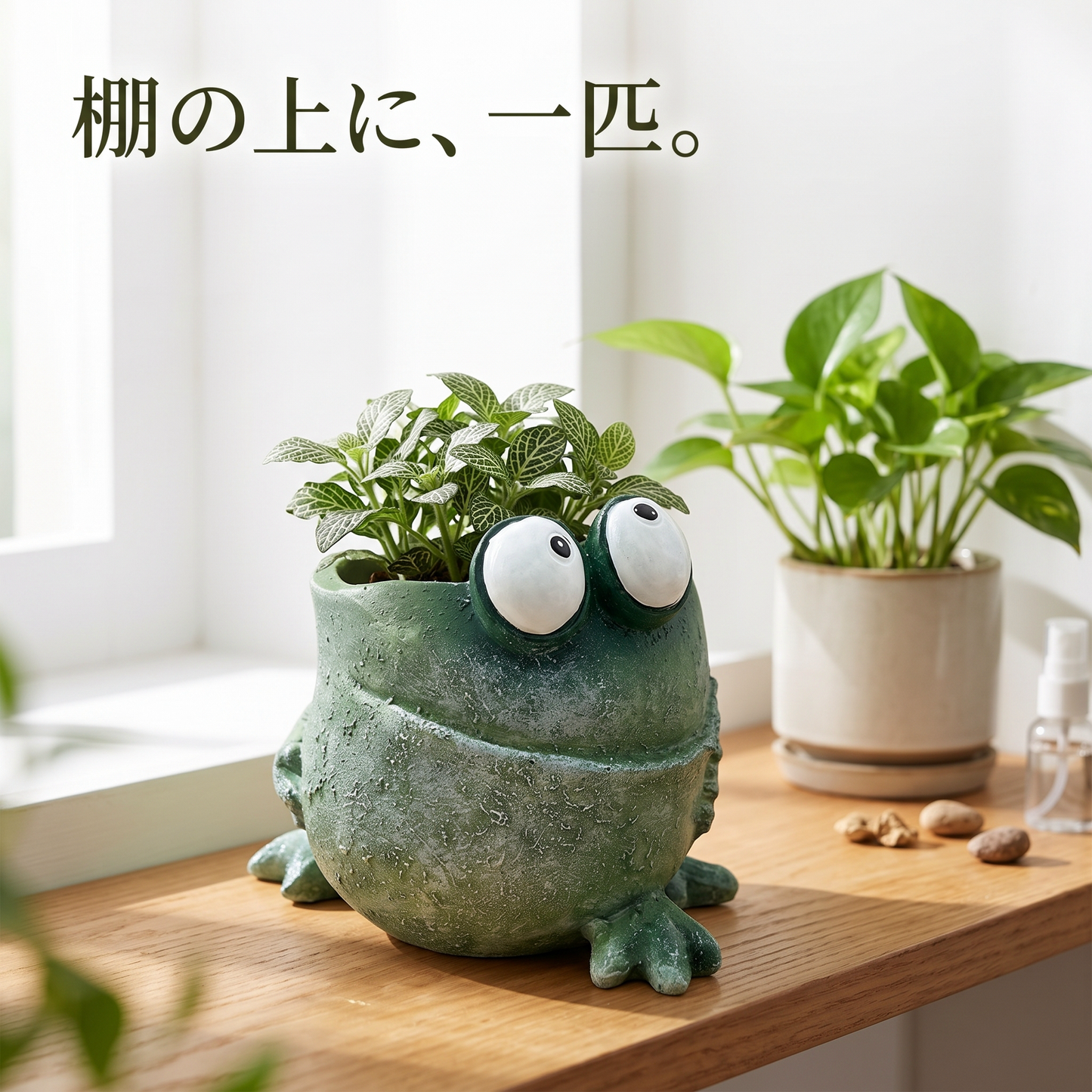 カエル プランター 植木鉢 蛙 フロッグ 多肉植物鉢 ガーデニング おしゃれ 面白い インテリア 全3型
