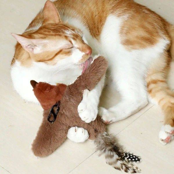 羽ばたいて鳴く猫用インタラクティブバードおもちゃ（スズメ）