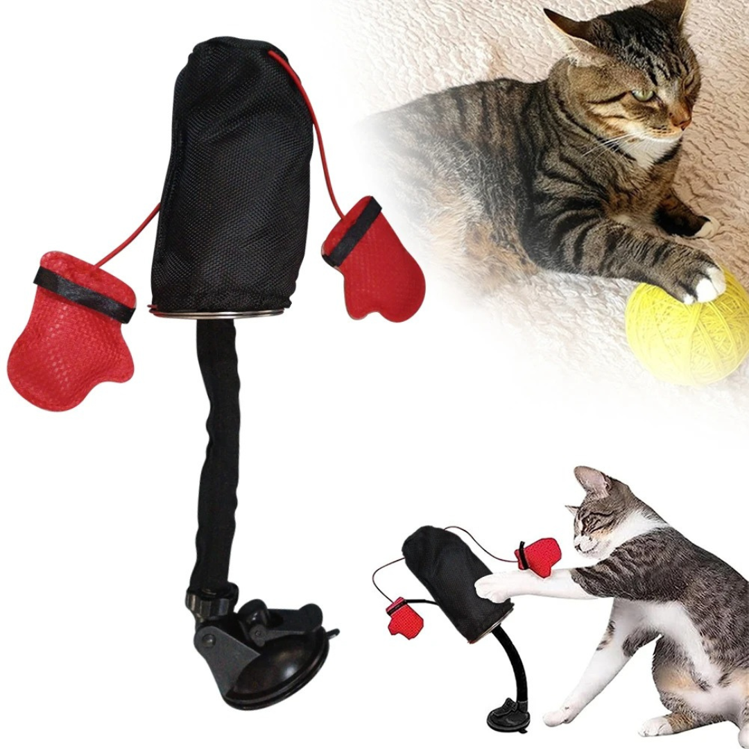 GranLusso 猫パンチ