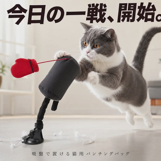 猫パンチ 動く様子