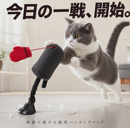 猫パンチ 動く様子