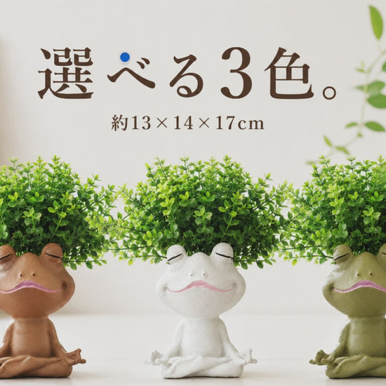 ヨガポーズ カエル型レジンプランター 全3色の動画